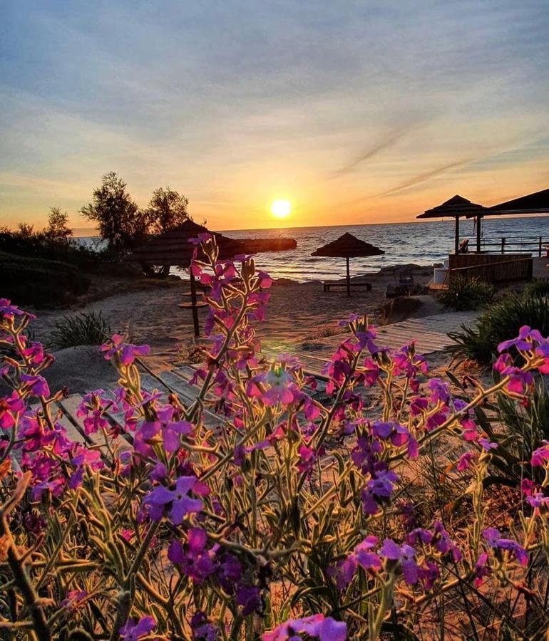 Gallipoli Mancaversa Futura Vacanza Andrea Marina di Mancaversa Bagian luar foto